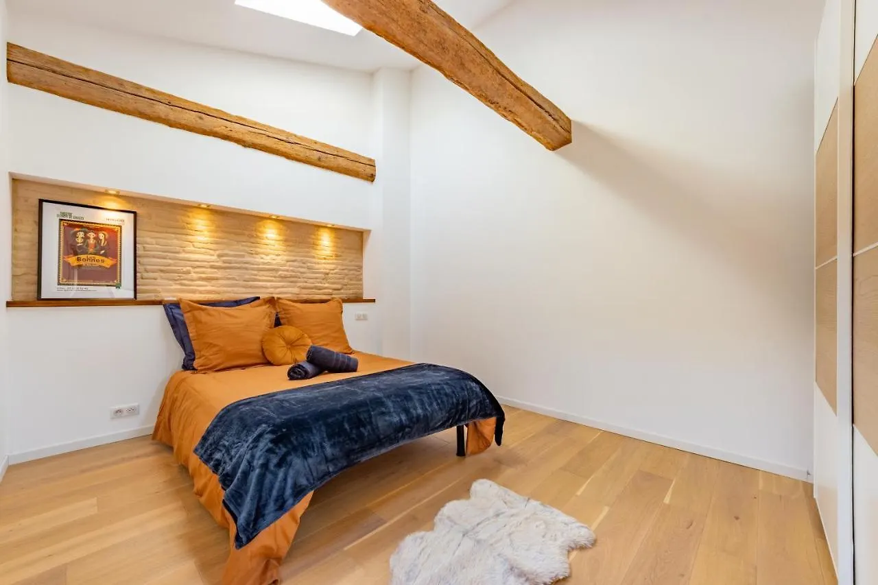 Le Luxe Comedie - Sauna - Salle De Sport - Terrasse Montauban 0*,